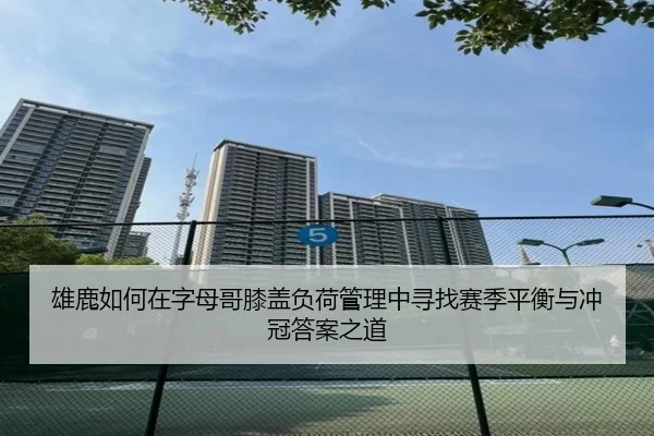 img_1782564275934_1559_1_598.jpg