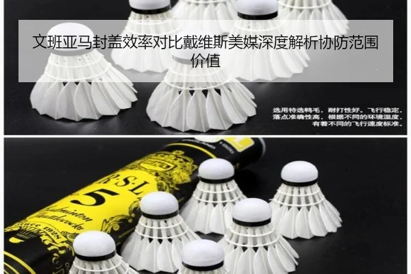 文班亚马封盖效率对比戴维斯美媒深度解析协防范围价值